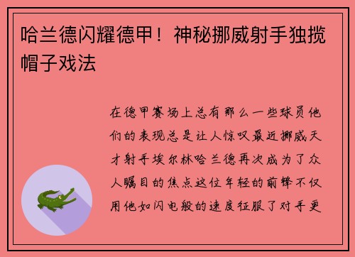 哈兰德闪耀德甲！神秘挪威射手独揽帽子戏法